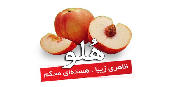 انواع نرم افزارهای حسابداری و معرفی آنها