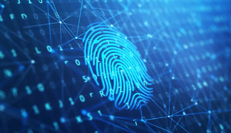 fingerprint چیست